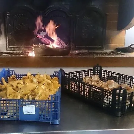 Friendly * Colomiers